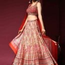 Phenav Embroidered Khari Print Ready to Wear Lehenga  Blouse With Dupatta