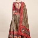 Phenav Embellished Mirror Work Lehenga