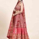 Phenav Embroidered Khari Print Ready to Wear Lehenga  Blouse With Dupatta
