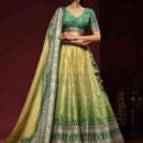 Phenav Embroidered Khari Print Ready to Wear Lehenga  Blouse With Dupatta