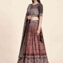 Phenav Printed Khari Print Ready to Wear Lehenga  Blouse With Dupatta