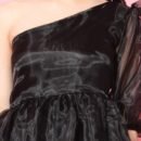 Phenav Organza Dress (Black)