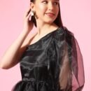 Phenav Organza Dress (Black)