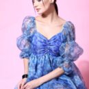 Phenav Organza Floral Printed Dress (Blue)