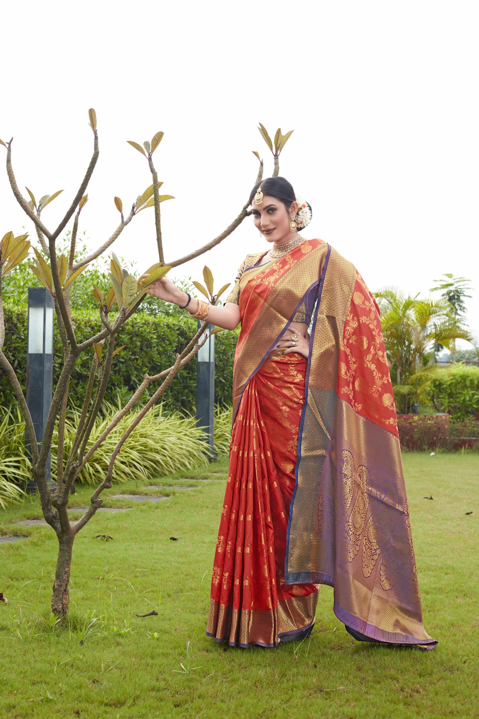 saree for wedding