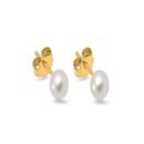 White Pearl Stud Earrings -18k Gold Plated